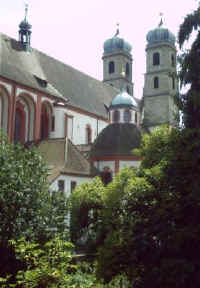 das Münster vom Pfarrgarten